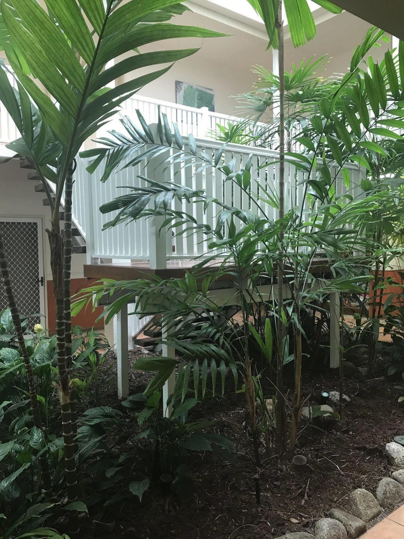 Port Douglas Palm Villas Exterior photo