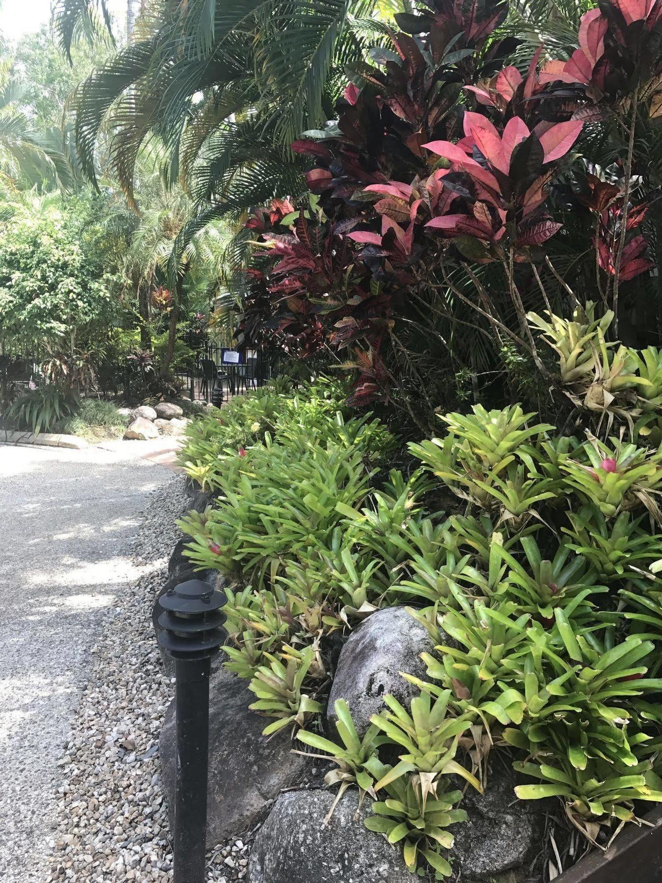 Port Douglas Palm Villas Exterior photo